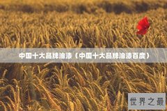 中国十大品牌油漆（中国十大品牌油漆百度）