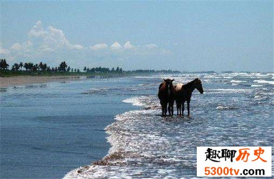 世界十大最长海滩，普腊亚卡西努海滩全长达到132英里！